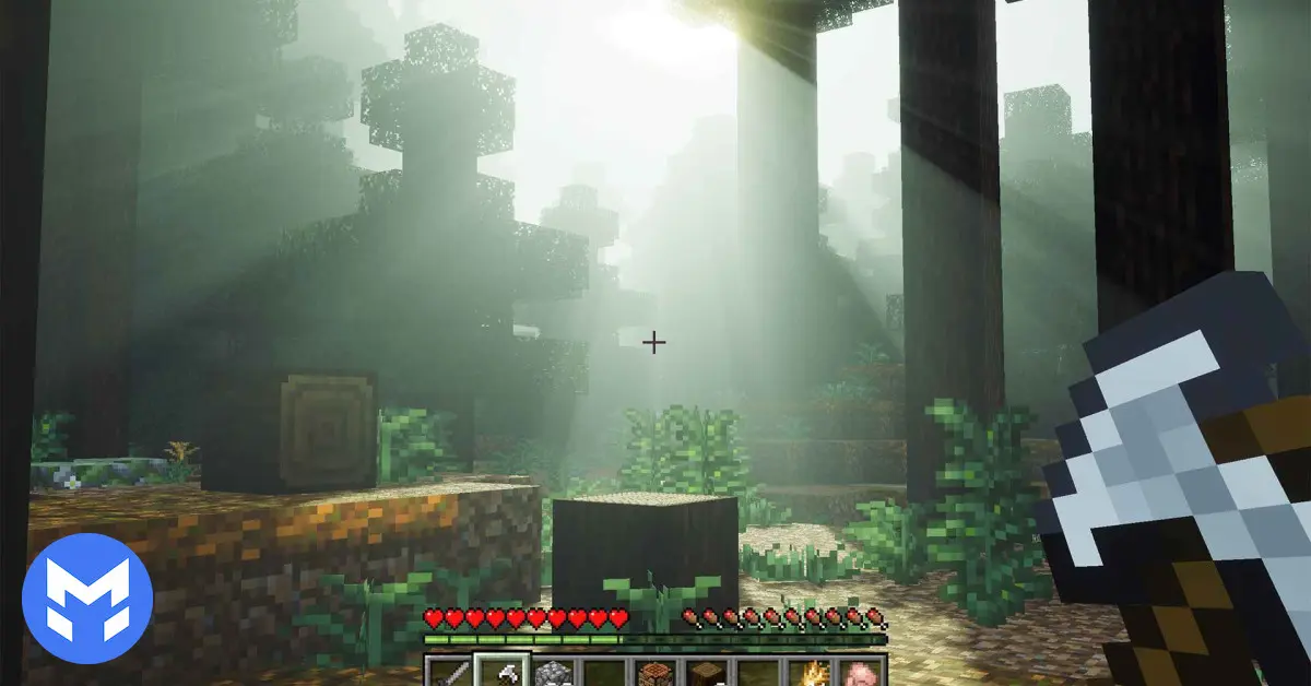 تصویر شیدر Prizma Visuals ماینکرفت بدراک