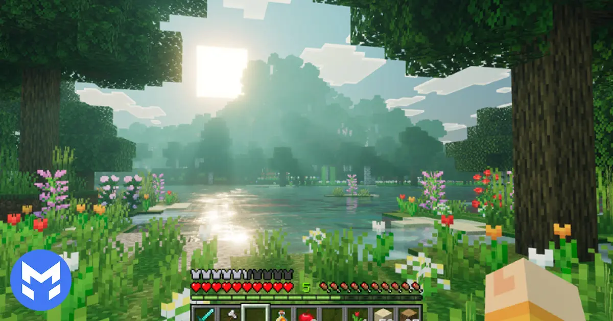 تصویر ادان Realism Visuals ماینکرفت بدراک