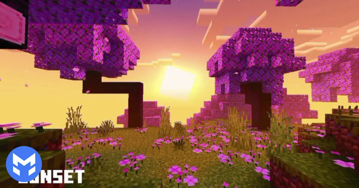 تصویر شیدر Solar ماینکرفت بدراک