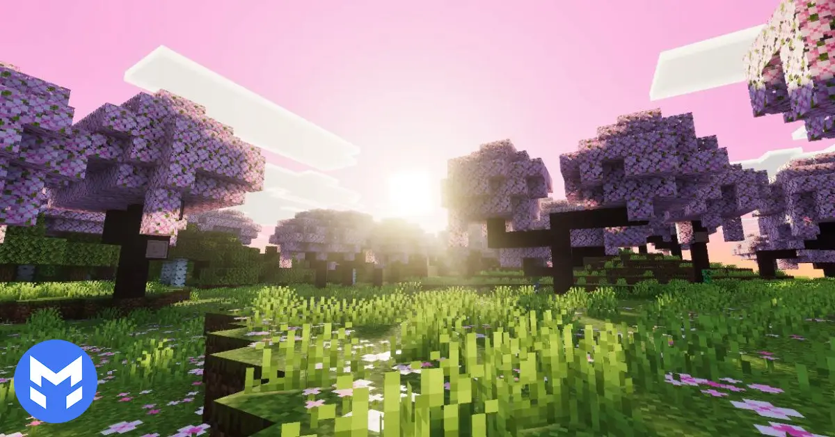 تصویر شیدر Fresh Visuals ماینکرفت بدراک