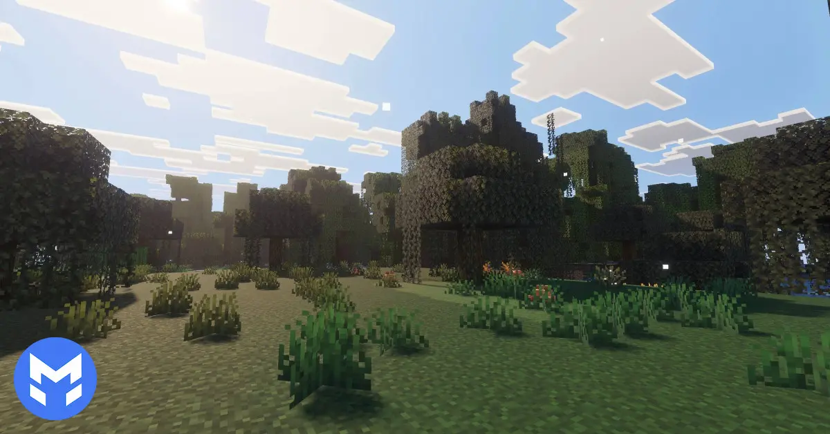 تصویر شیدر Fresh Visuals ماینکرفت بدراک