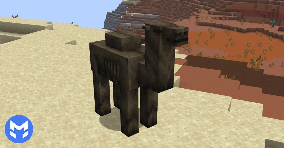 محل پیدا کردن و اسپاون کمل هاسک (Camel Husk)