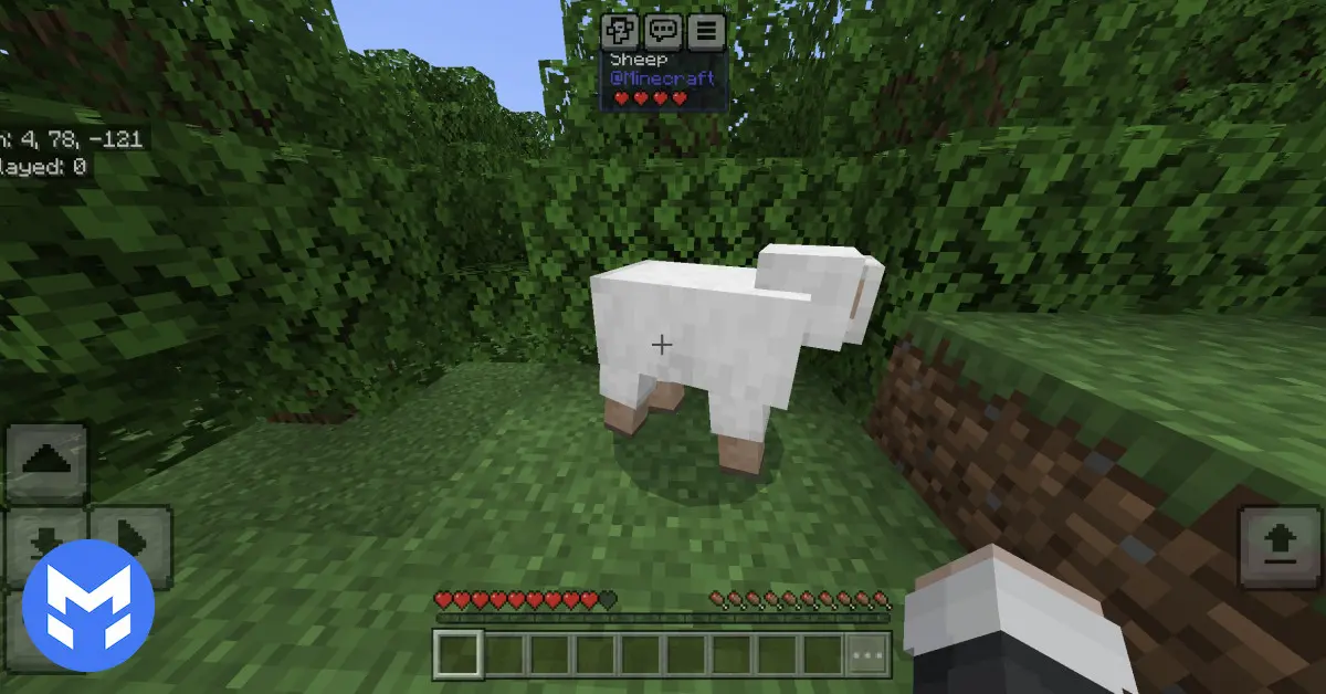 تصویر ادان نمایش اطلاعات بلاک ها و ماب ها (Jade) ماینکرفت بدراک